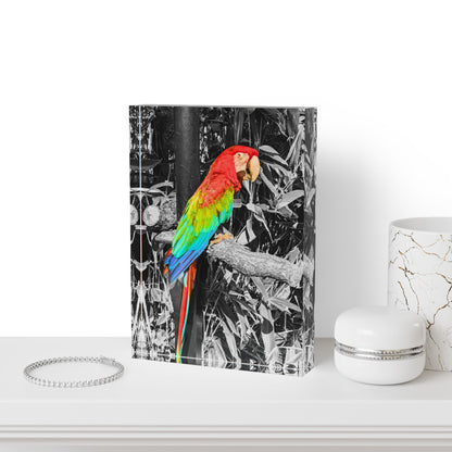 Macaw Photo Block