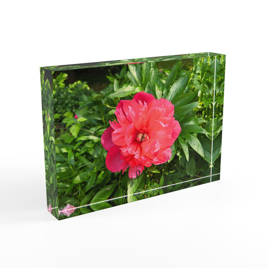 Flower Photo Block