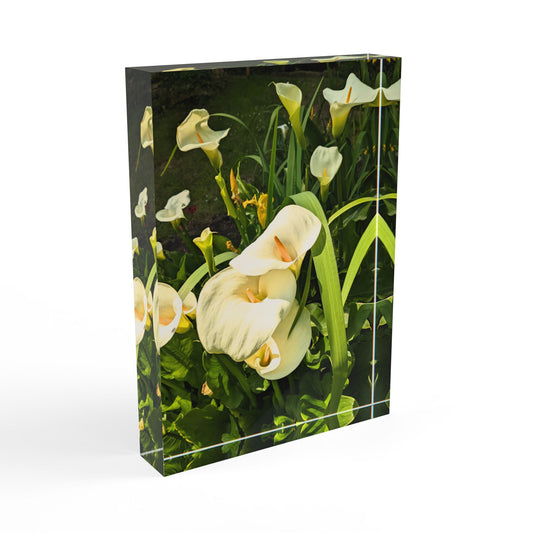 Calla Lily Photo Block