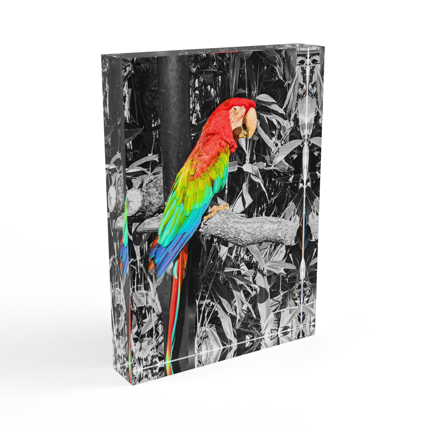 Macaw Photo Block