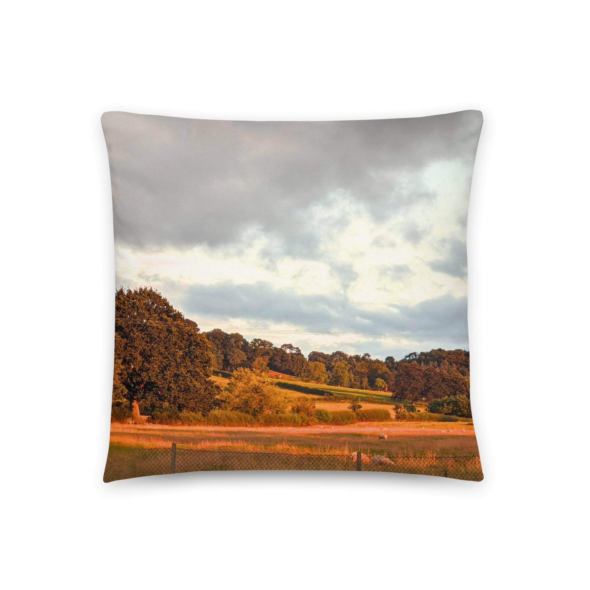 Cotswolds in Spring Pillow