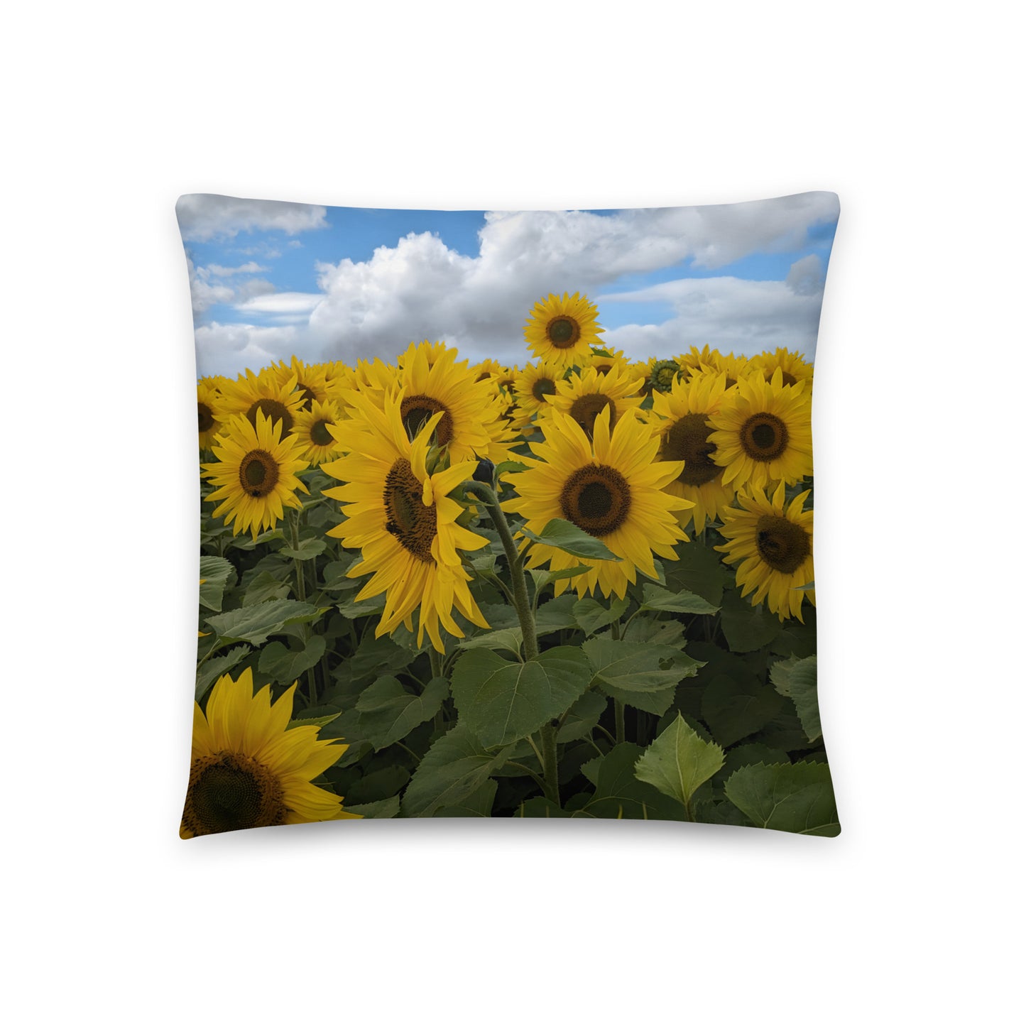 Sunflower Field Pillow