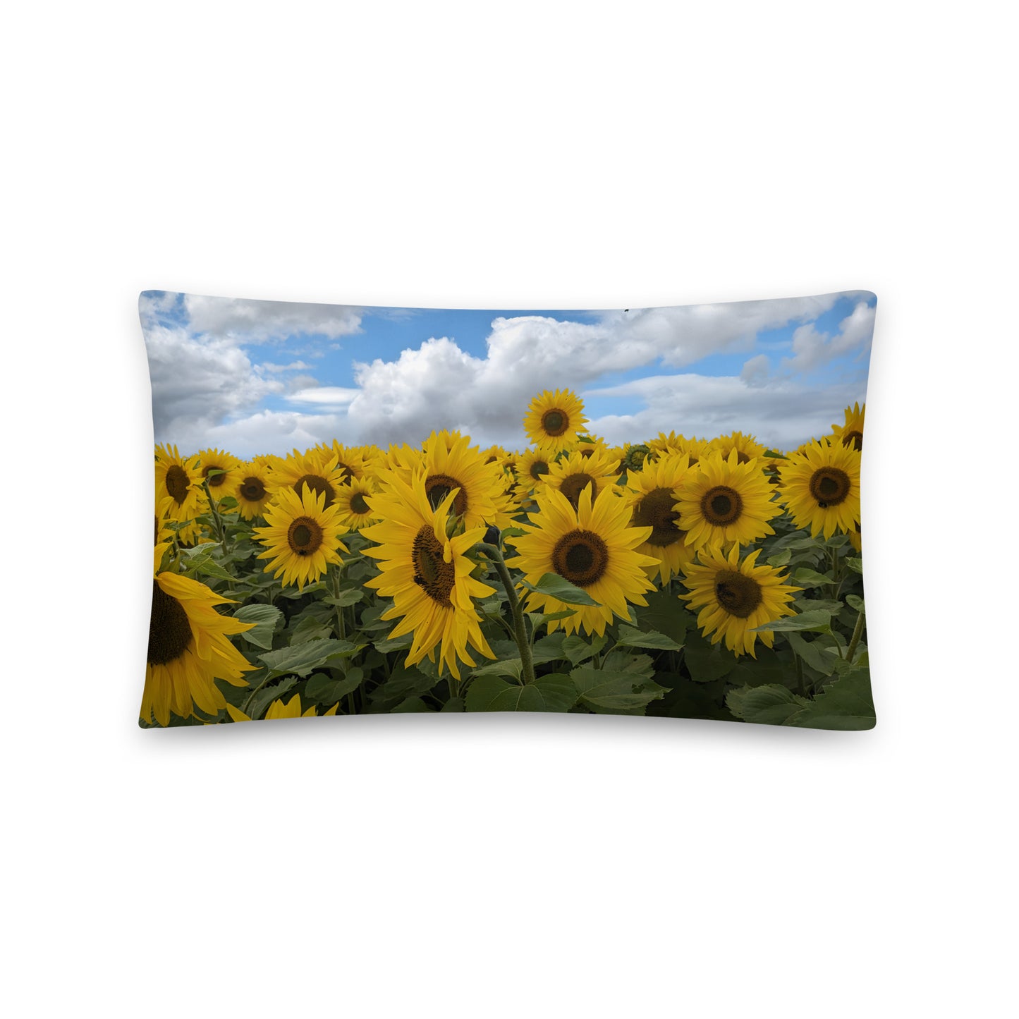 Sunflower Field Pillow